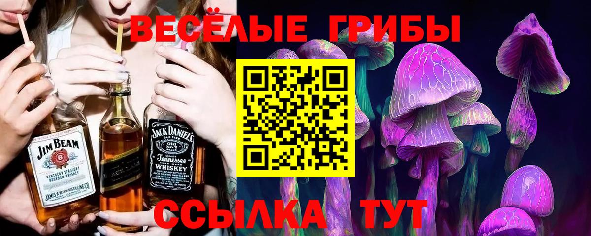 Галлюциногенные грибы Magic Shrooms Михайловск