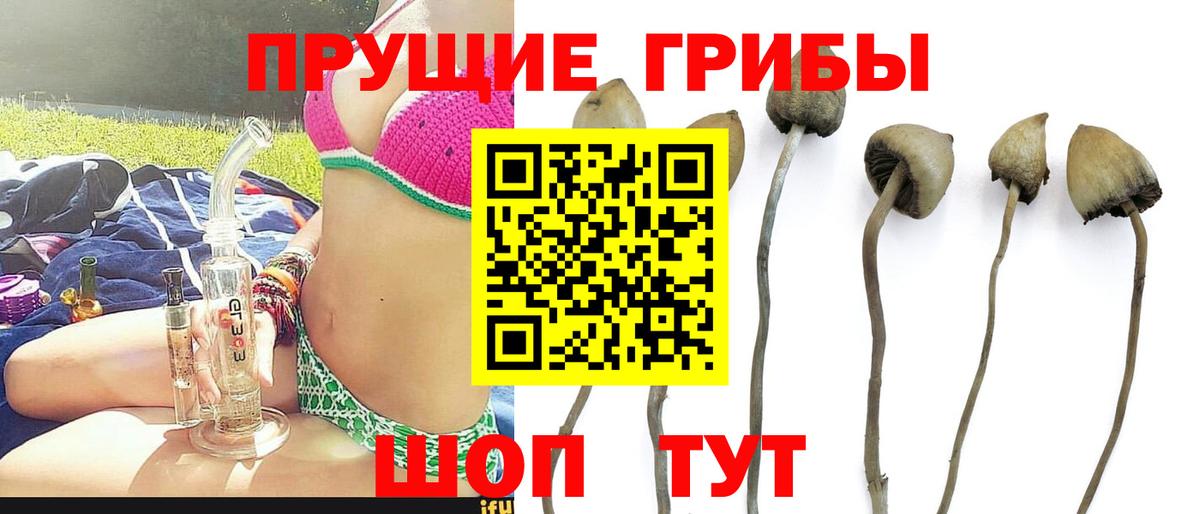Михайловск  Галлюциногенные грибы Magic Shrooms  Вход с VPN 
