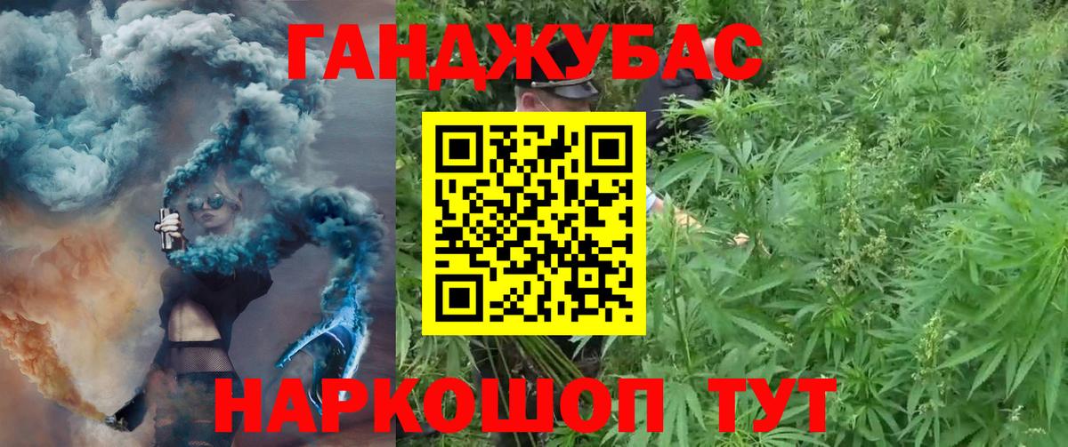 Канабис сатива Михайловск